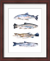 Framed Stacked Trout II