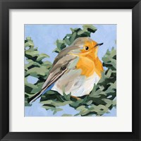 Framed Painterly Bird I