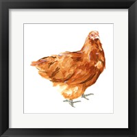 Framed Wild Chicken I