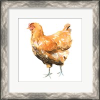 Framed Wild Chicken II