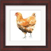 Framed Wild Chicken II