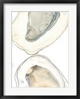 Ocean Oysters II Framed Print