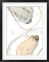 Framed Ocean Oysters IV