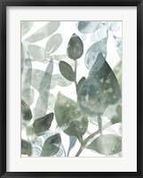 Aquatic Leaves I Framed Print