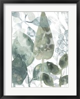 Aquatic Leaves II Framed Print