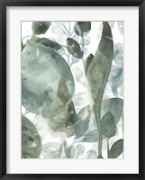 Aquatic Leaves IV Framed Print