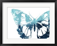 Framed Butterfly Imprint I