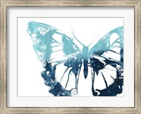 Framed Butterfly Imprint I