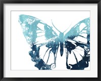 Framed Butterfly Imprint I