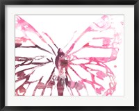 Framed Butterfly Imprint II