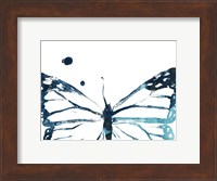 Framed Butterfly Imprint III