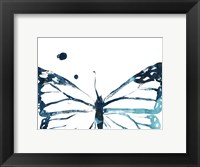 Framed Butterfly Imprint III