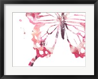 Framed Butterfly Imprint IV