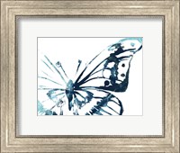 Framed Butterfly Imprint V