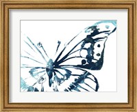 Framed Butterfly Imprint V