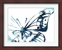 Framed Butterfly Imprint V