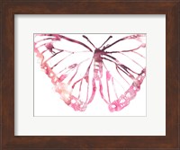 Framed Butterfly Imprint VI