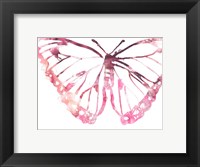 Framed Butterfly Imprint VI