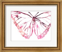 Framed Butterfly Imprint VI