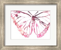 Framed Butterfly Imprint VI