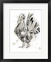 Feathered Fowl II Framed Print