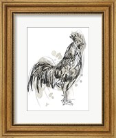 Framed Feathered Fowl III
