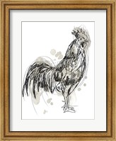 Framed Feathered Fowl III