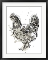 Framed Feathered Fowl IV