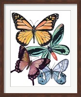 Framed Butterfly Swatches I