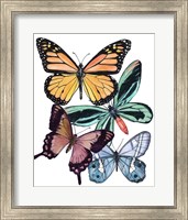 Framed Butterfly Swatches I