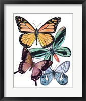 Butterfly Swatches I Framed Print