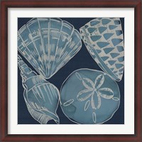 Framed Marine Shells IV