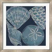 Framed Marine Shells IV