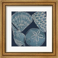 Framed 'Marine Shells IV' border=