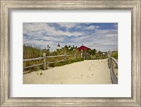 Framed Beach Path, Cape May NJ