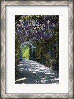 Framed Wisteria Arbor In Garden, Austria, Vienna, Schonbrunn Palace