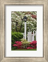 Framed Pickett Fence, Lamp, Azaleas, And Flowering Dogwood Tree, Louisville, Kentucky