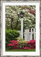Framed Pickett Fence, Lamp, Azaleas, And Flowering Dogwood Tree, Louisville, Kentucky