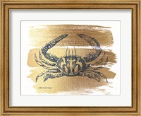 Framed Brushed Gold Crab
