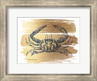 Framed Brushed Gold Crab