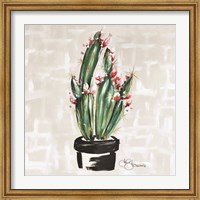 Framed Blooming Cactus