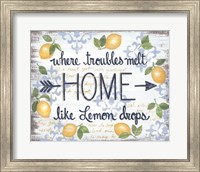 Framed Lemon Home