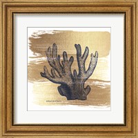 Framed 'Brushed Gold Elkhorn Coral' border=
