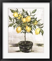 Framed Lemon Tree