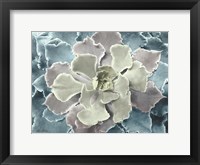 Framed Multi-color Succulent