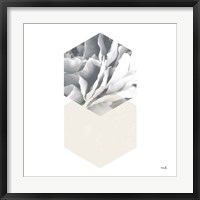 Blossoms IV Framed Print