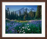 Framed Mount Rainier