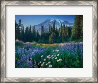 Framed Mount Rainier