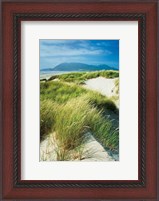 Framed Oregon Dunes Grass