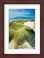 Framed Oregon Dunes Grass
